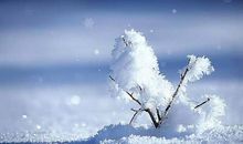 关于雪的抒情句子