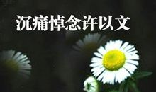 沉痛哀悼诗词