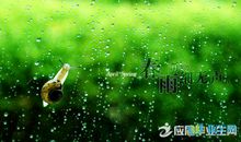 描写春雨特点的句子