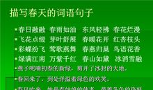 描写春天景色的词语