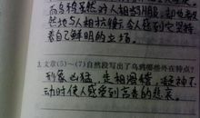 十个排比句