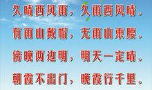 谚语词句