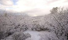 比喻雪的句子