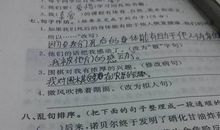 羊拟人句