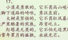 关于奉献的排比句