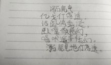 骂人的诗