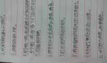优美关于月亮的比喻句