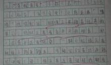 600字作文写景