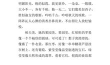 写景作文600字