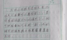 写景作文500字