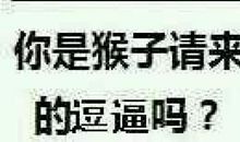 逗比话语