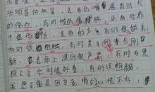 夸老师的话