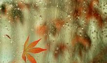 下雨时诗句
