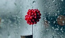 下雨的诗句