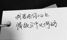 100字的情话