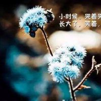  人生最感动的句子经典语录,人生最感动的句子经典语录朋友圈