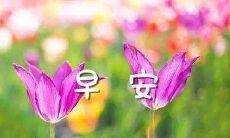 早安短信问候语大全