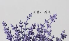 三月再见 四月你好的现实说说