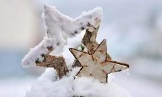 在大雪节气中找寻美丽诗句，感受冬季的深情与纯美！