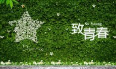 那些让人怀念的青春时光的伤感句子