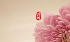 清明节到来，怀念亲人的100句话：让我们永远珍惜亲人的爱，感恩生命中的每一个温暖时刻